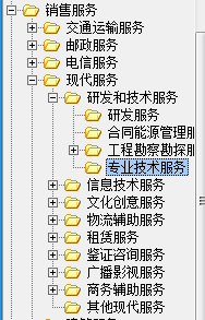 专业技术服务业开票类目选择指南 信息技术咨询服务适用性解析